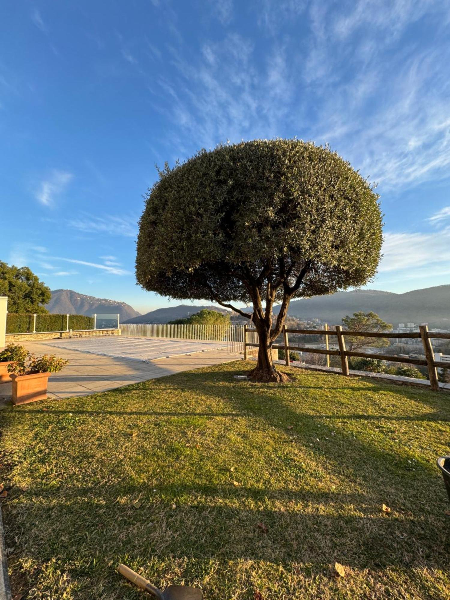Veralto - Modern Suite With Como Lake View Vacallo Exterior photo